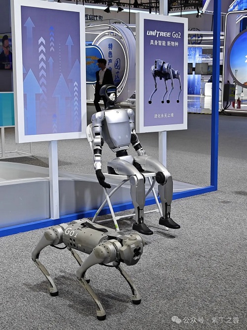 1747030366908396.jpg 5.jpg